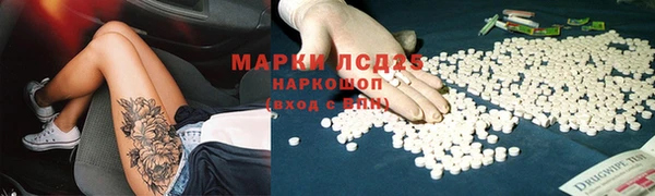 прущий лед Краснослободск