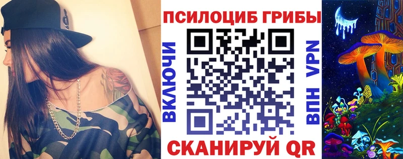 mega сайт  Наволоки  Галлюциногенные грибы Psilocybe 